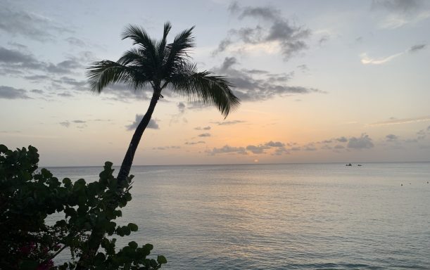 Mullins Beach