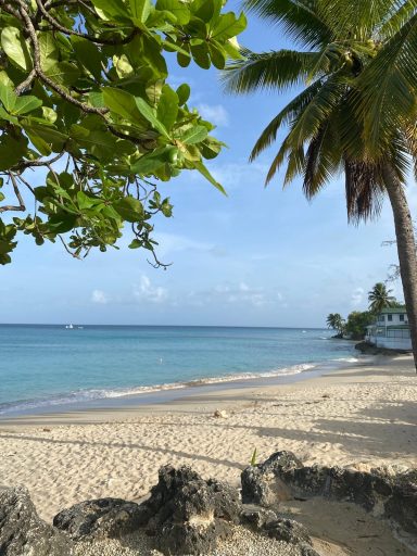 Mullins Beach